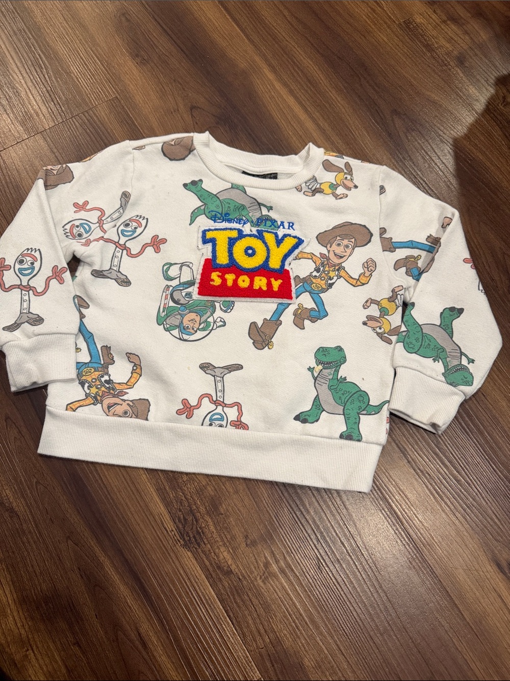 3T Disney Toy Story crewneck Sweatshirt with Woody, Buzz, Rex, Forky, and Slinky